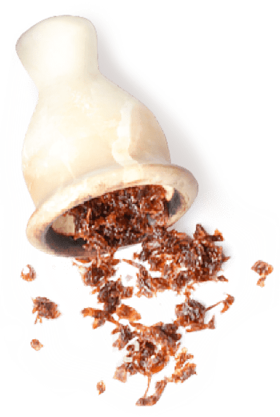 TOBACCO HOUSE - Всё для вашего кальяна